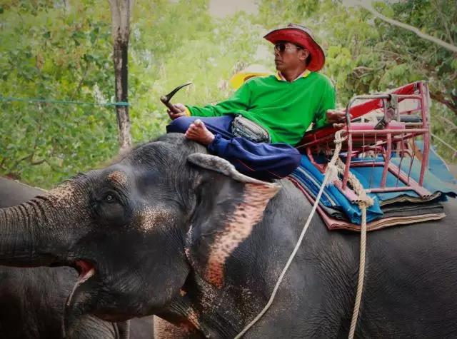 蘇州科技項(xiàng)目咨詢公司，科技項(xiàng)目，創(chuàng)新創(chuàng)業(yè)扶持政策，http://m.kkn52.cn/，智為銘略，科技項(xiàng)目咨詢，科技項(xiàng)目咨詢公司，蘇州智為銘略企業(yè)管理有限公司