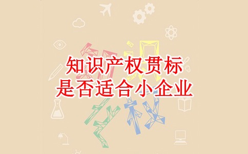 蘇州知識產(chǎn)權(quán)貫標(biāo),蘇州科技項目咨詢公司知識產(chǎn)權(quán)貫標(biāo)是否適合小企業(yè)