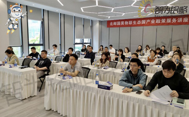 項(xiàng)目咨詢(xún)