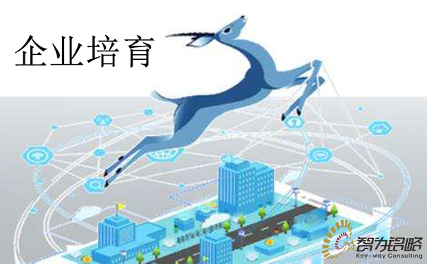 蘇州市科創(chuàng)板上市后備企業(yè)培育計(jì)劃