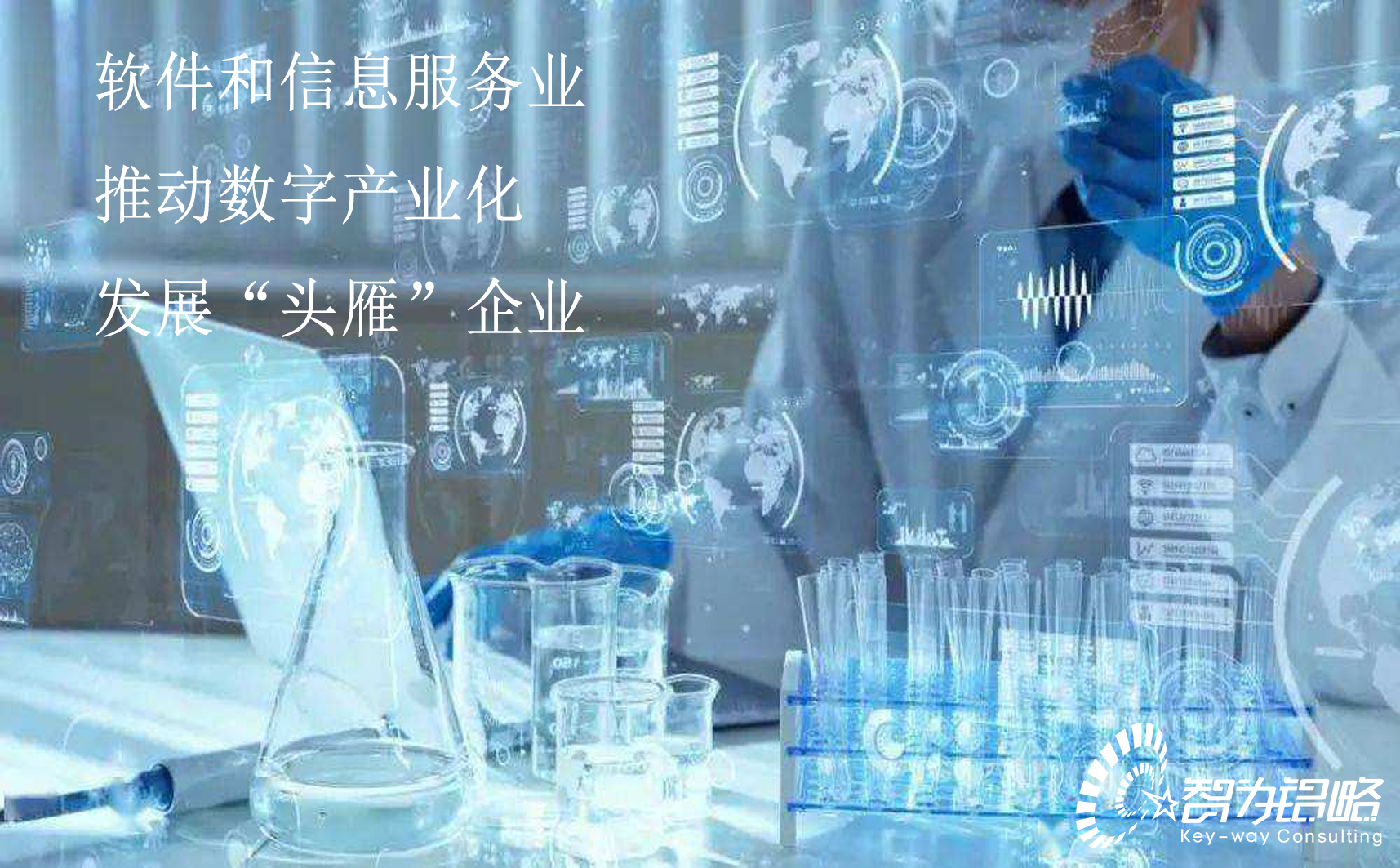 蘇州市軟件和信息服務(wù)業(yè)推動數(shù)字產(chǎn)業(yè)化發(fā)展“頭雁”企業(yè)評估指引(試行)