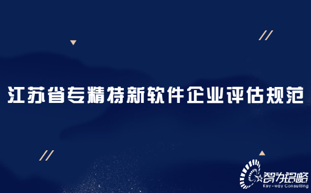 1655707946200143.jpg 江蘇省專精特新軟件企業(yè)評估規(guī)范.jpg
