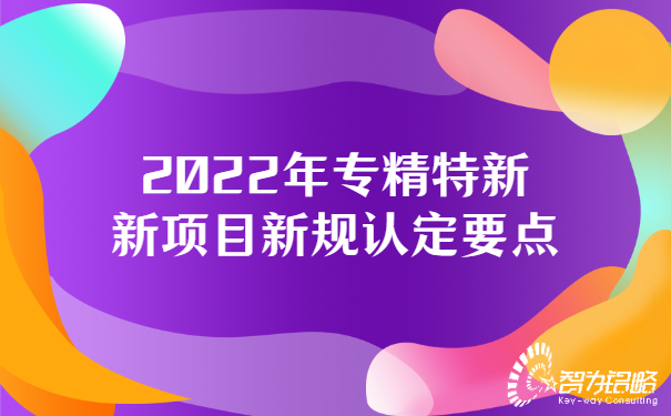 2022年專精特新新項目新規(guī)認(rèn)定要點