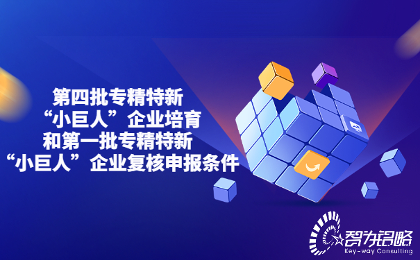 1656050760987652.jpg *四批專精特新“小巨人”企業(yè)培育和*一批專精特新“小巨人”企業(yè)復(fù)核申報條件.jpg