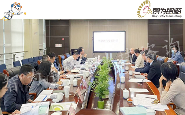 智為銘略輔導**團隊項目答辯順利進行