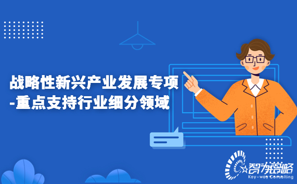 1678843306194088.jpg 戰(zhàn)略性新興產(chǎn)業(yè)發(fā)展專項(xiàng)-重點(diǎn)支持行業(yè)細(xì)分領(lǐng)域.jpg