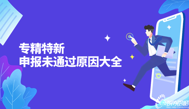 1703122307233971.jpg 專(zhuān)精特新申報(bào)未通過(guò)原因大全.jpg
