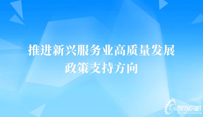 1713230317170646.jpg 推進(jìn)新興服務(wù)業(yè)高質(zhì)量發(fā)展的政策支持方向.jpg