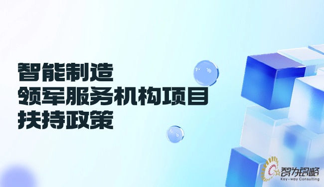 1717377684103917.jpg 智能制造領(lǐng)軍服務(wù)機(jī)構(gòu)項(xiàng)目扶持政策.jpg