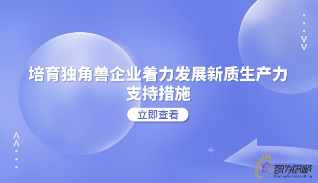 1719385522212579.jpg 培育獨(dú)角獸企業(yè)著力發(fā)展新質(zhì)生產(chǎn)力的支持措施.jpg