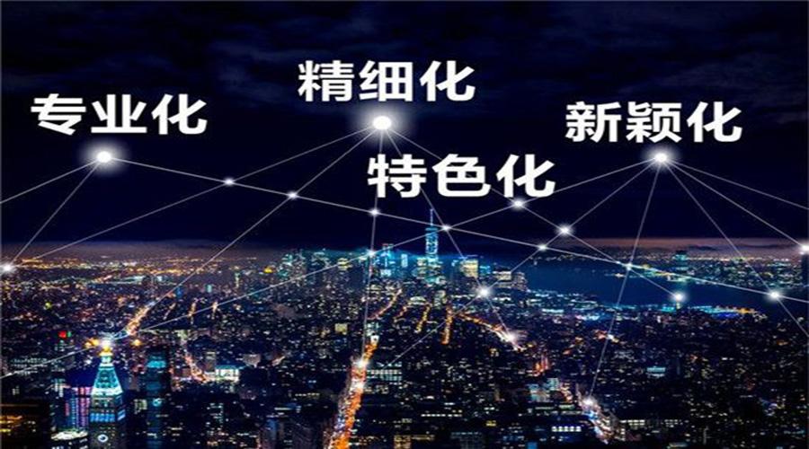 張家港市專精特新“小巨人”企業(yè)培育提升三年行動計(jì)劃(2022-2024年)【智為銘略轉(zhuǎn)發(fā)】